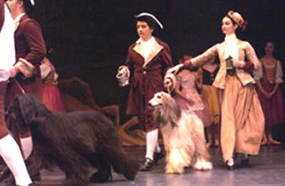 Ballet Giselle 1 7-22-5