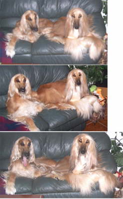 Ducky & Elivia 5 6 06 7-22-10